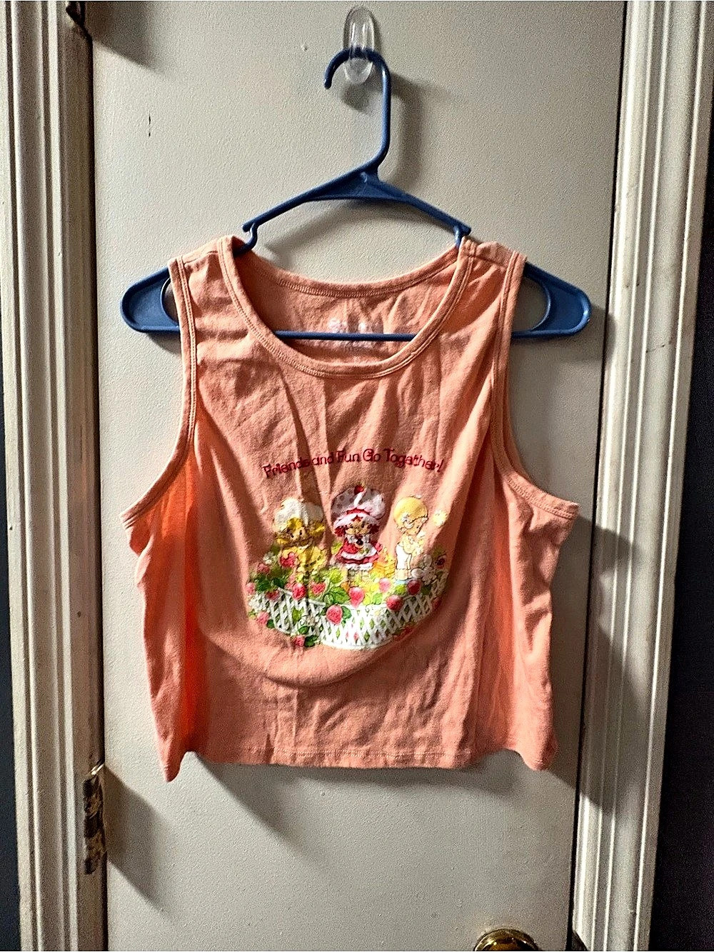 Strawberry Shortcake Friends And Fun Go Together Graphic crop Top in Pink